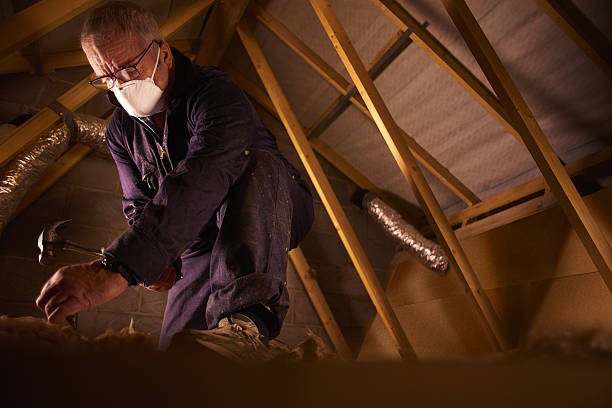 Best Specialty Insulation in Columbus Junction, IA